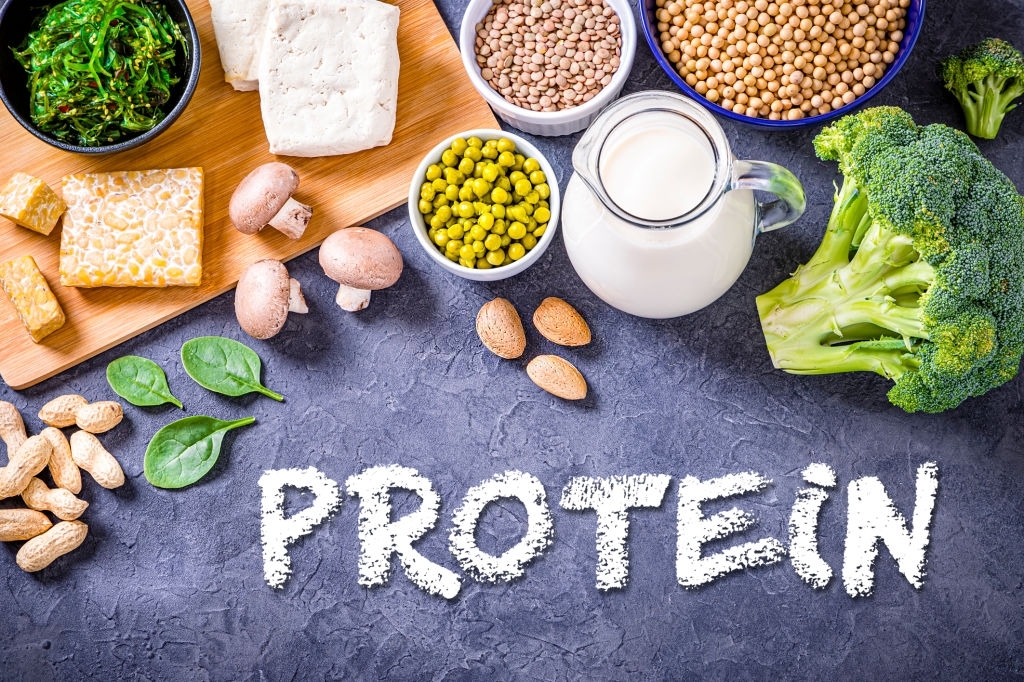 ăn đủ protein 