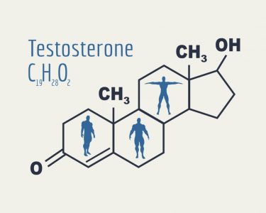 testosterone hormone fortio