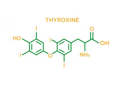 Thyroxine hormone